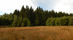 Участок 14 соток, ИЖС, коммуникации, лес, 8км. от г.Смоленск - фото 3
