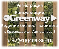 Greenway - Растворимый напиток Healthberry DETOX - фото 4