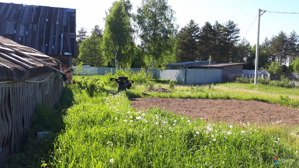 Погода в заречье речицкий