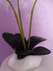 Композиция из латексной орхидеи - фото 3