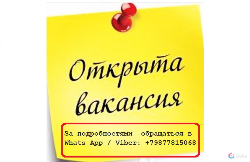 Вакансия работа с карточками. Менеджер по оформлению дисконтных карт. Вакансии в Орске. Ищу работу Орск. Подработка в Орске.