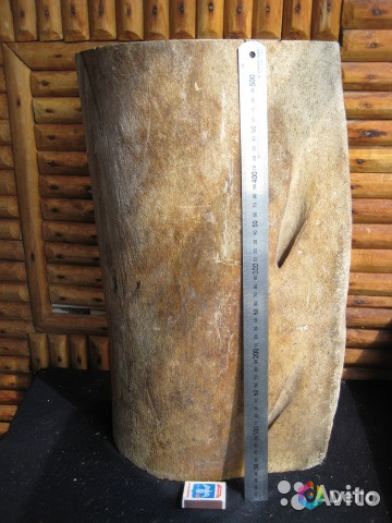 Фрагмент ребра кашалота р-р 50x30 см. вес 20 кг