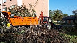 Вывоз веток с дачного участка, мусора и мебели