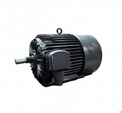 Электродвигатель АО3 (132кВт/600об/мин)