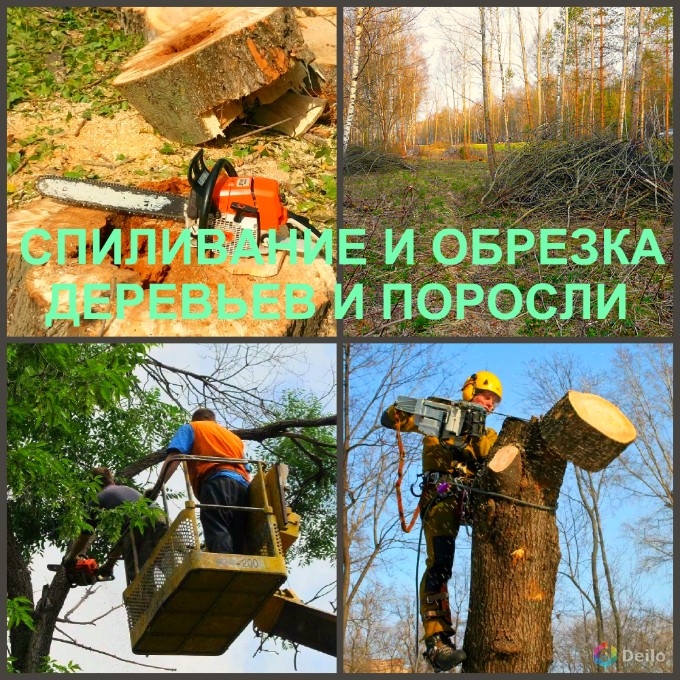 Спиливание Воронеж, спиливание деревьев в Воронеже