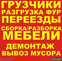 Служба грукзчиков от Родиона