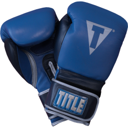 Боксерские перчатки TITLE