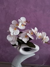 Белая орхидея в вазе - фото 1