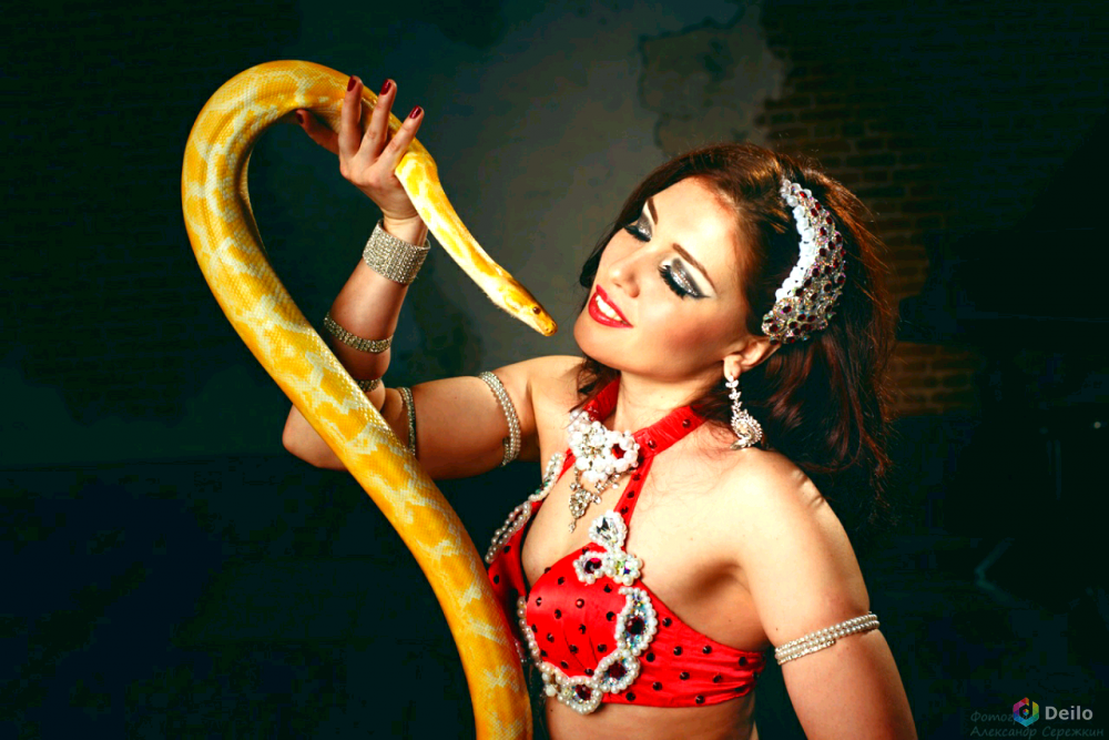 Песни змеи из шоу. Фотосессия со змеей. Шоу со змеями. Фотосессия с удавом. Девушка змея.