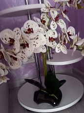 Композиция орхидея из латакса в кашпо - фото 3