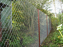 Забор из сетки Рабица - фото 6