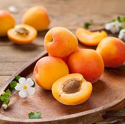 Саженцы абрикоса с закрытой корневой системой - фото 3