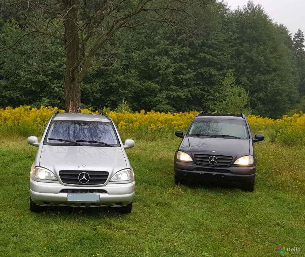 Аренда автомобилей с личным водителем марки Mercedes-Benz M в Нижнем  Новгороде