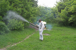 Служба по дезинфекции насекомых грызунов - фото 3