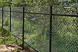 Забор из сетки Рабица - фото 5