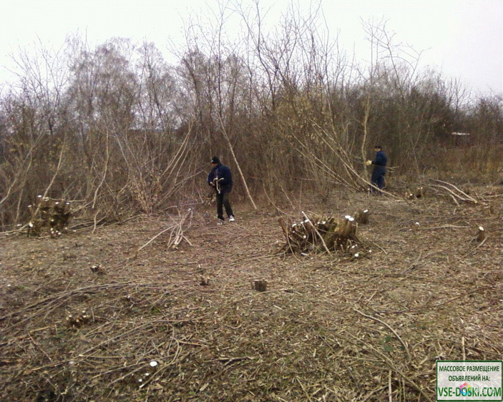 Уборка территории, покос травы, спил деревьев в Кисловодске