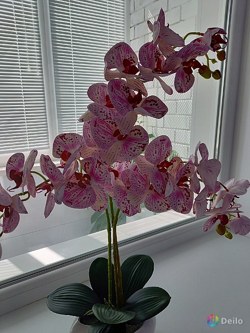 Композиция из силиконовый орхидеи