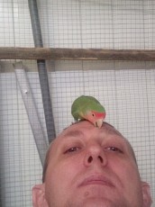 Лечение птиц и попугаев в ветклинике Беланта на Пражской - фото 1
