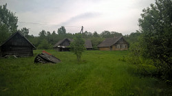 Живописный хуторок у ручья и хвойного леса, дом, баня, 2 Га - фото 6