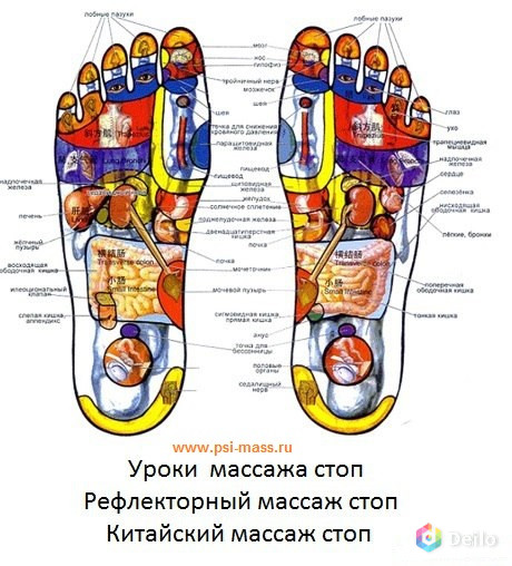 Обучение на курсах китайского массажа Гуаша в Минске