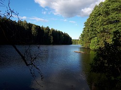 Земельный участок на берегу Десногорского водохранилища - фото 5