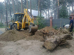 Снос и обрезка деревьев. Подготовка участка к строительству - фото 6