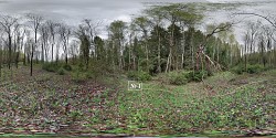 Участок 15 соток, ИЖС, коммуникации, со своим еловым лесом - фото 3
