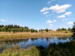 Уютный жилой хуторок рна берегу водоёма, 1 гектар земли - фото 8