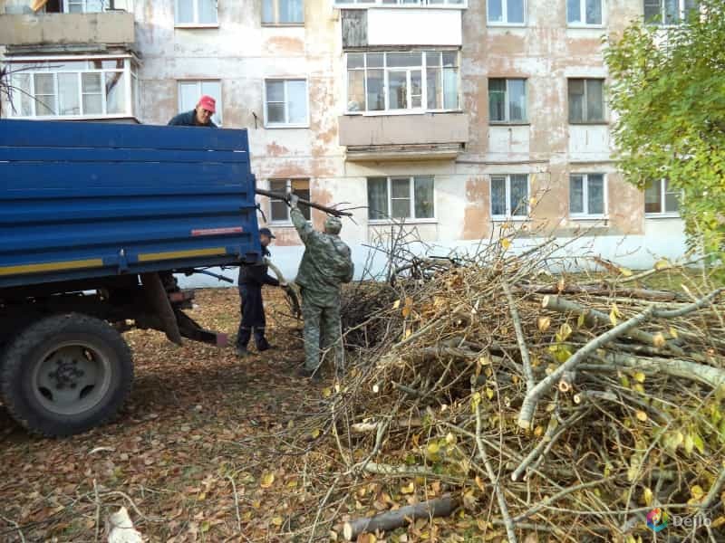 Вывоз мусора с дачи вывоз строительного мусора