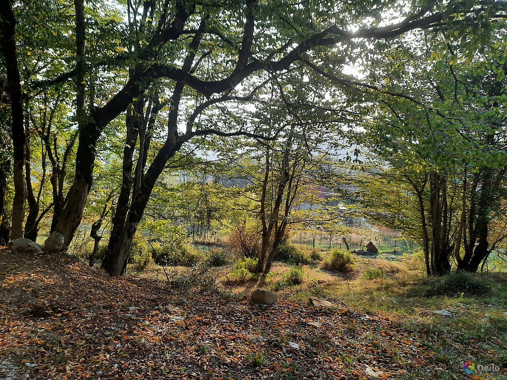 Село илларионовка сочи карта