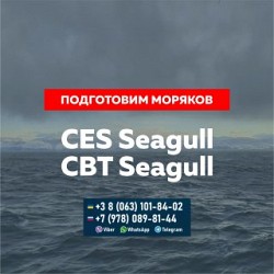 Сдадим за вас Seagull CES, Seagull CBT др. тесты для моряков - фото 1