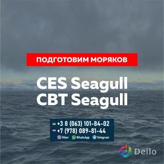 Сдадим за вас Seagull CES, Seagull CBT др. тесты для моряков