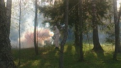 Обработка от клещей и комаров на участках Киржач - фото 4