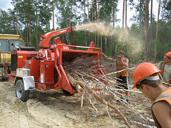 Снос и обрезка деревьев. Подготовка участка к строительству - фото 7