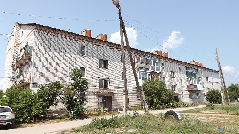 Купить квартиру в боре нижегородской. Редькино Бор. Село Редькино город Бор. Редькино Нижний Новгород. Редькино Борский округ.