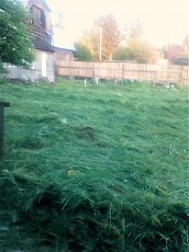 Скашивание травы триммером - фото 1