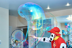 Шоу мыльных пузырей, Аниматоры - фото 8
