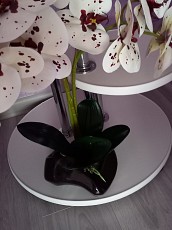 Композиция орхидея из латакса в кашпо - фото 4