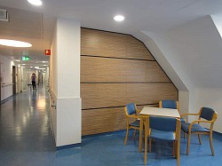 Стеновые конструкционные медицинские панели HPL для больниц - фото 9