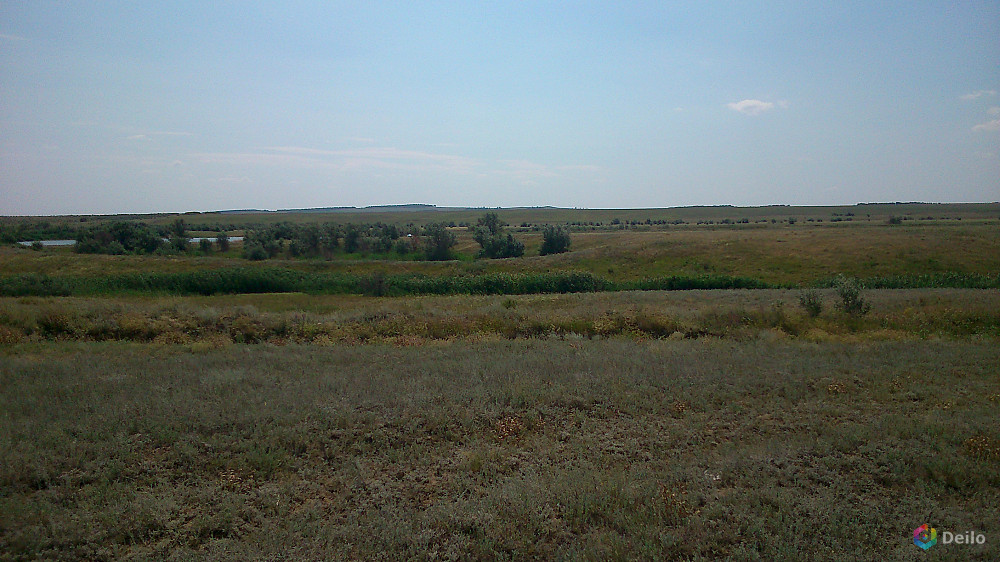 Саратовская земля. Село Дубки Саратовская область. Р.П. Дубки Саратовской области. Земля Саратовская. Сельхоз земли Саратов.