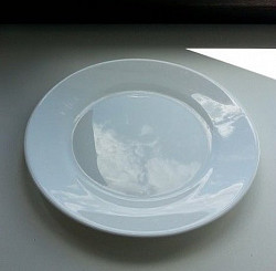 Тарелки Франция ARCOROC , диаметр 22, 5 см , цвет белоснежный