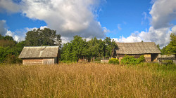 Добротный дом с баней и хорошим хоз-вом на хуторе - фото 7