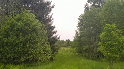 Живописный хуторок у ручья и хвойного леса, дом, баня, 2 Га - фото 8