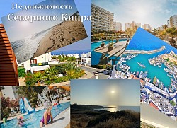 Компания Альянс-Истейт- недвижимость северного Кипра, лучшие