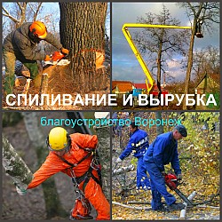 Спиливание Воронеж, спиливание деревьев в Воронеже - фото 3