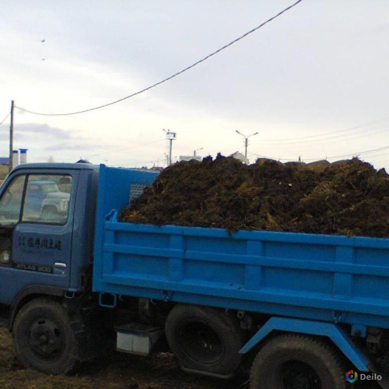 Перегной Купить Машину С Доставкой